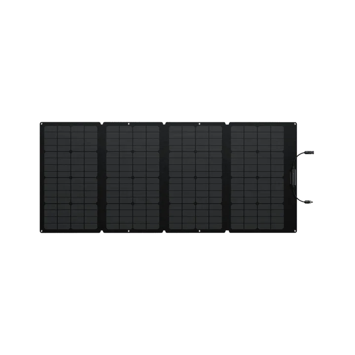 EcoFlow DELTA 2 Max + 160W Portable Solar Panel
